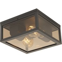 Plafondlamp zwart met smoke glas 2-lichts IP44 - Charlois