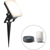 Smart straler zwart 12