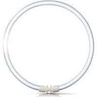 Philips 2GX13-ring-tl-lamp Master TL5 van 60W