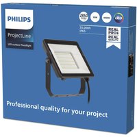 Philips ProjectLine Floodlight spot 4000K 30W