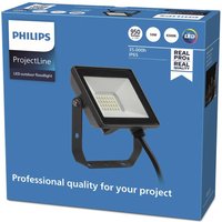 Philips ProjectLine Floodlight spot 6500K 10W
